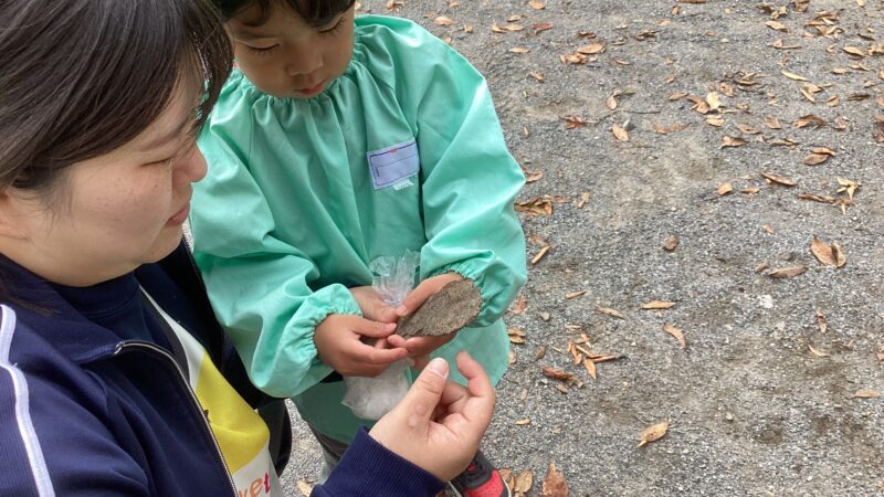 これはどこだ？～自然のパズル～